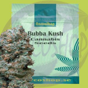 Buy-Bubba-Kush-Cannabis-seeds