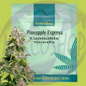 Buy Pineapple Express Cannabis Seeds online