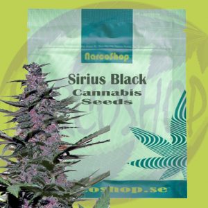 Buy-Sirius-Black-Cannabis -Seeds-Online